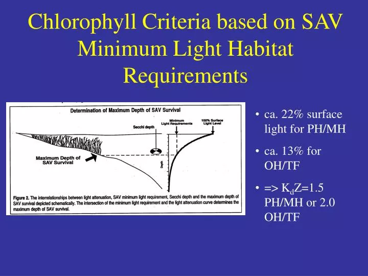 chlorophyll criteria based on sav minimum light habitat requirements