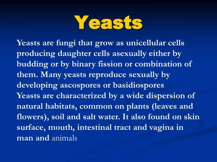 yeasts