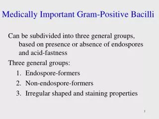 Medically Important Gram-Positive Bacilli