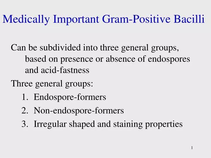 medically important gram positive bacilli
