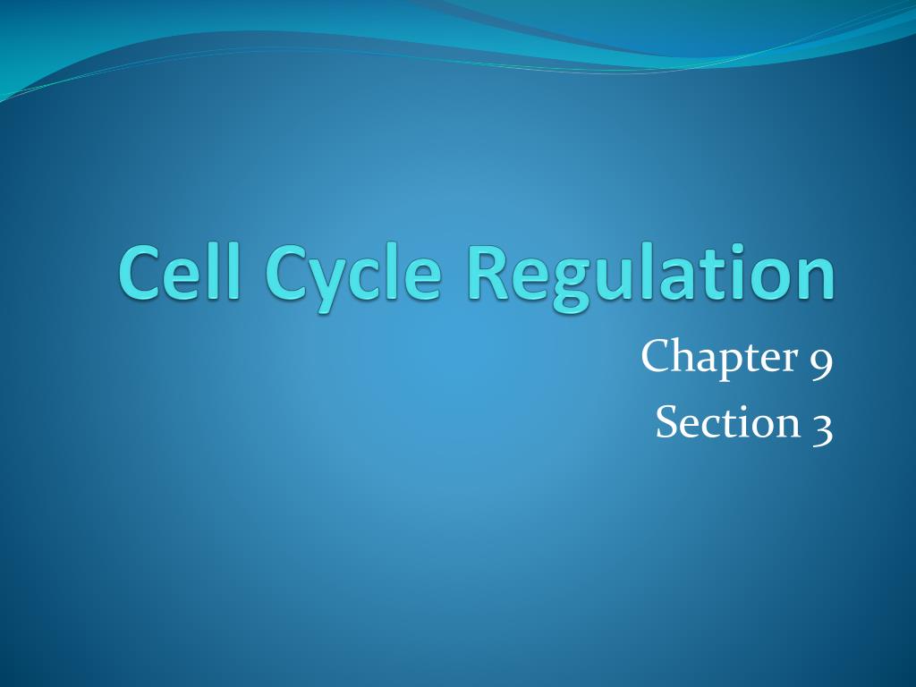 PPT - Cell Cycle Regulation PowerPoint Presentation, free download - ID ...