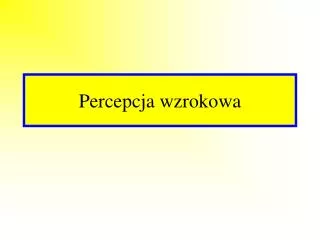 percepcja wzrokowa