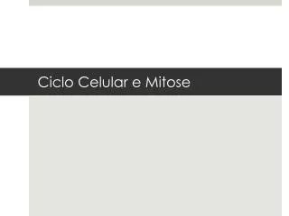 ciclo celular e mitose