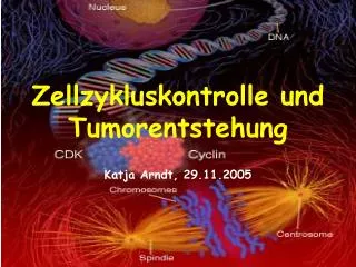 zellzykluskontrolle und tumorentstehung