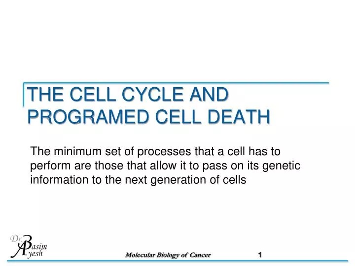 the cell cycle and programed cell death