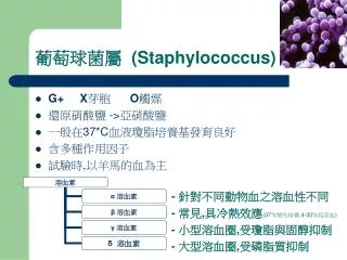 staphylococcus