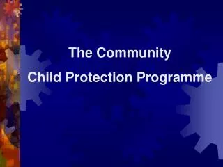The Community Child Protection Programme