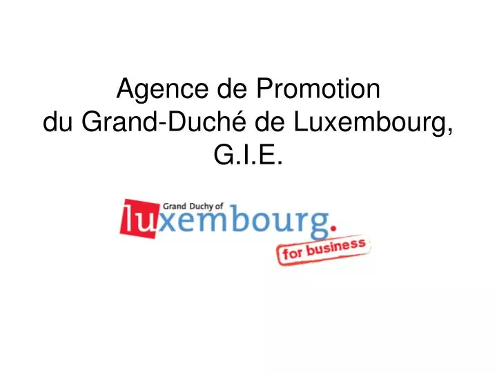 agence de promotion du grand duch de luxembourg g i e