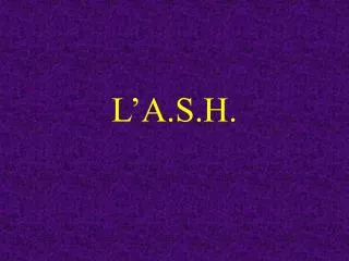 l a s h