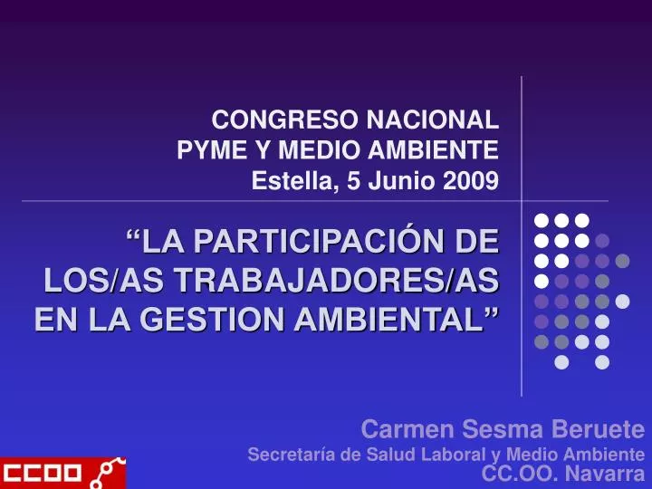 congreso nacional pyme y medio ambiente estella 5 junio 2009