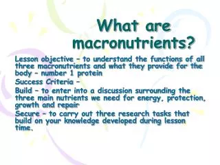 What are macronutrients?