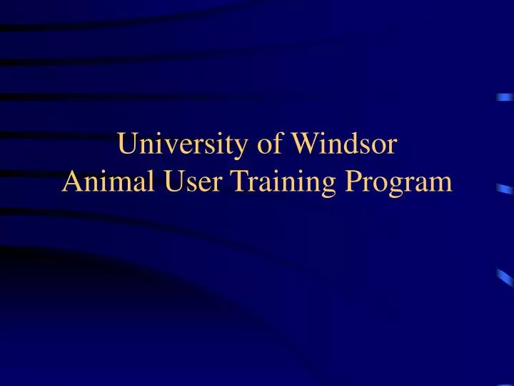 university of windsor animal user training program