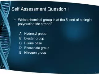 Self Assessment Question 1