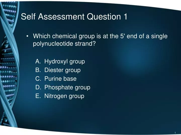 self assessment question 1