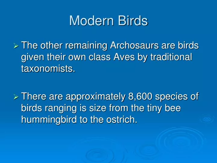 modern birds