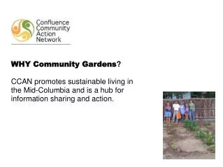 WHY Community Gardens ?