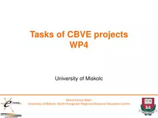 Tasks of CBVE projects WP4