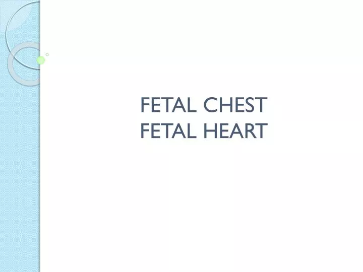 fetal chest fetal heart