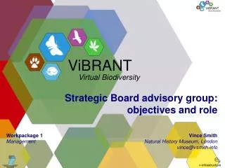 Strategic Board advisory group: objectives and role