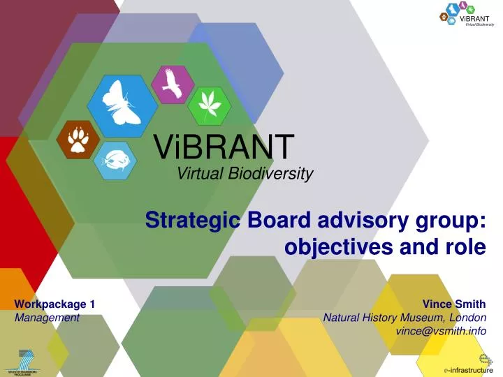 strategic board advisory group objectives and role