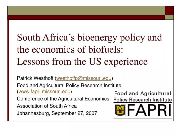 south africa s bioenergy policy and the economics of biofuels lessons from the us experience