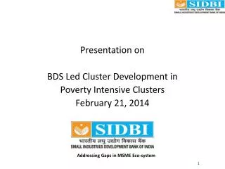 Presentation on BDS Led Cluster Development in Poverty Intensive Clusters February 21, 2014