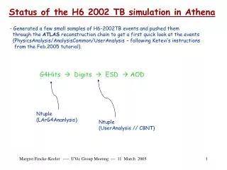 Status of the H6 2002 TB simulation in Athena