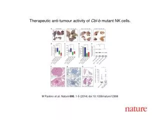 M Paolino et al. Nature 000 , 1-5 (2014) doi:10.1038/nature12998