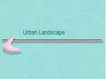 Urban Landscape