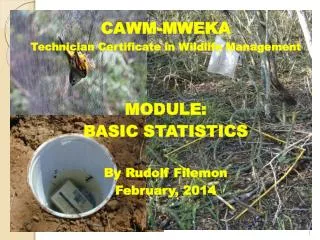 CAWM-MWEKA Technician Certificate in Wildlife Management MODULE: BASIC STATISTICS