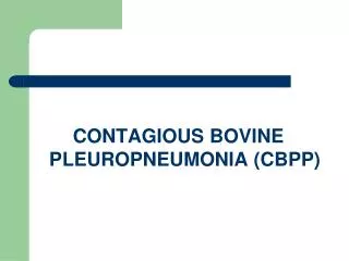 CONTAGIOUS BOVINE PLEUROPNEUMONIA (CBPP)