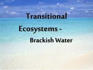 Transitional Ecosystems -		 	Brackish Water
