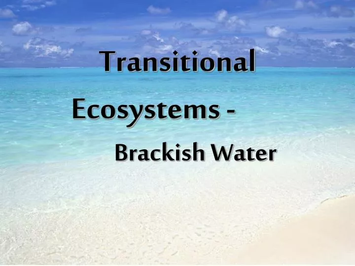 transitional ecosystems brackish water