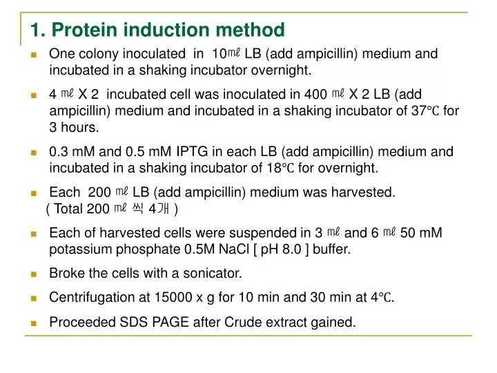 1 protein induction method