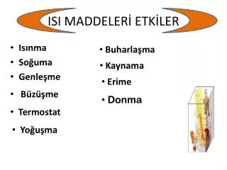 isi maddeler etk ler