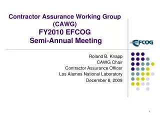 Contractor Assurance Working Group (CAWG) FY2010 EFCOG Semi-Annual Meeting