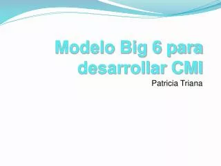 modelo big 6 para desarrollar cmi