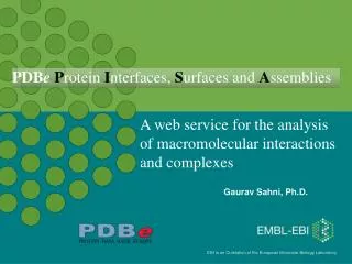 A web service for the analysis of macromolecular interactions and complexes