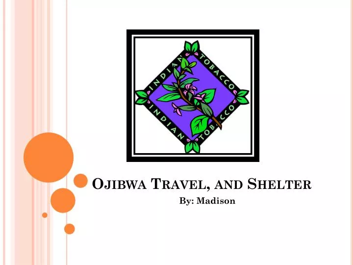 ojibwa travel and shelter