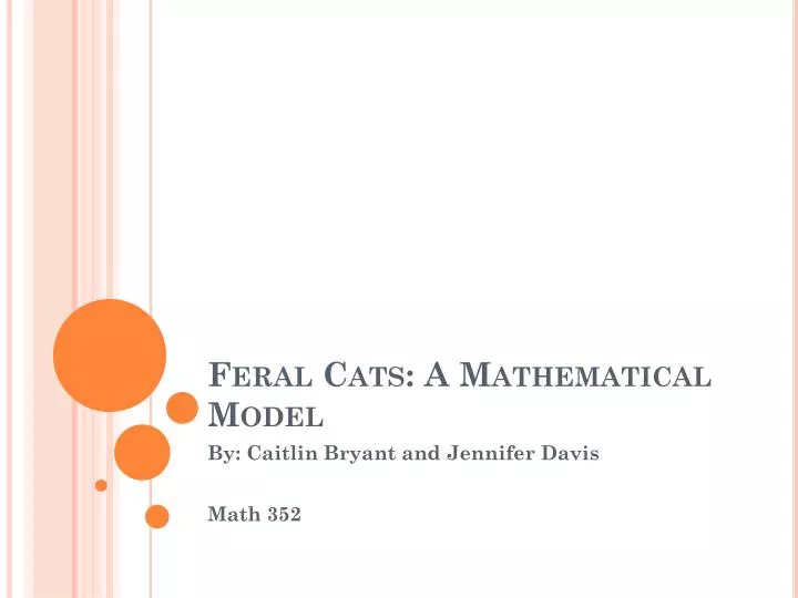 feral cats a mathematical model