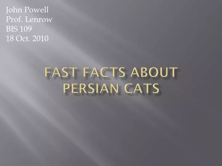fast facts about persian cats