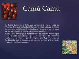 cam cam