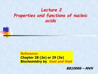 Lecture 2 Properties and functions of nucleic acids