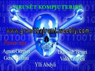 virus t kompjuterik