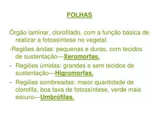 folhas
