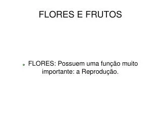 flores possuem uma fun o muito importante a reprodu o
