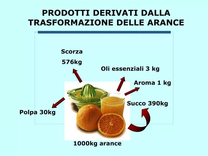 prodotti derivati dalla trasformazione delle arance