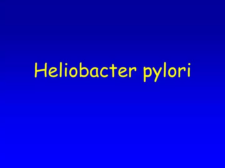 heliobacter pylori