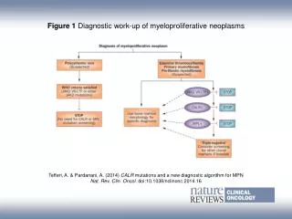Figure 1 Diagnostic work-up of myeloproliferative neoplasms