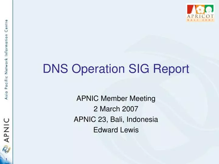 dns operation sig report